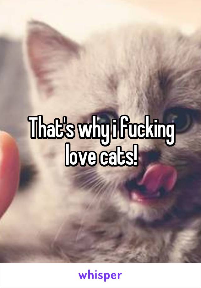 That's why i fucking love cats!