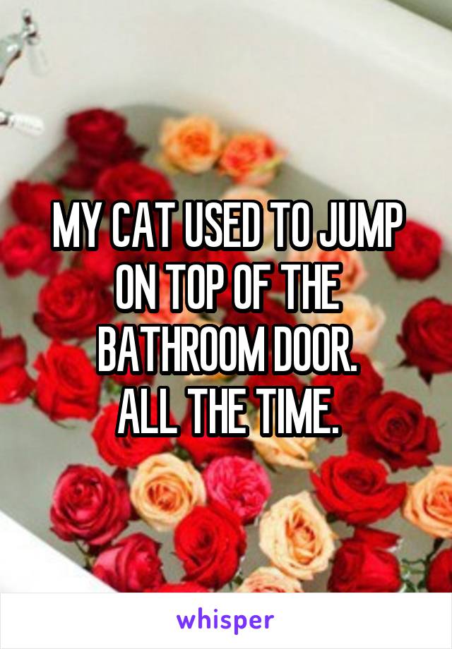 MY CAT USED TO JUMP ON TOP OF THE BATHROOM DOOR.
ALL THE TIME.