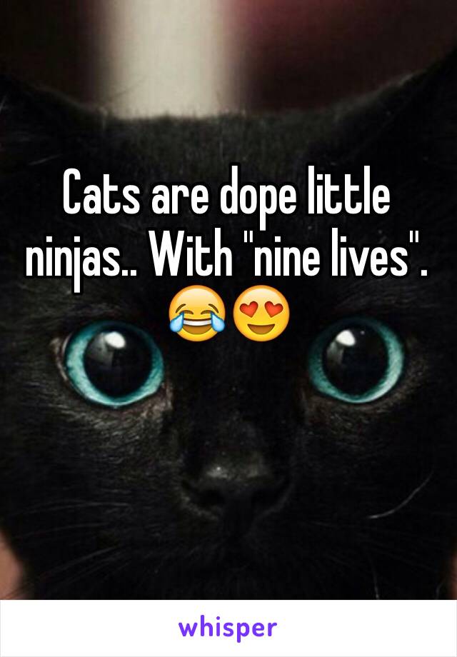 Cats are dope little ninjas.. With "nine lives". 😂😍