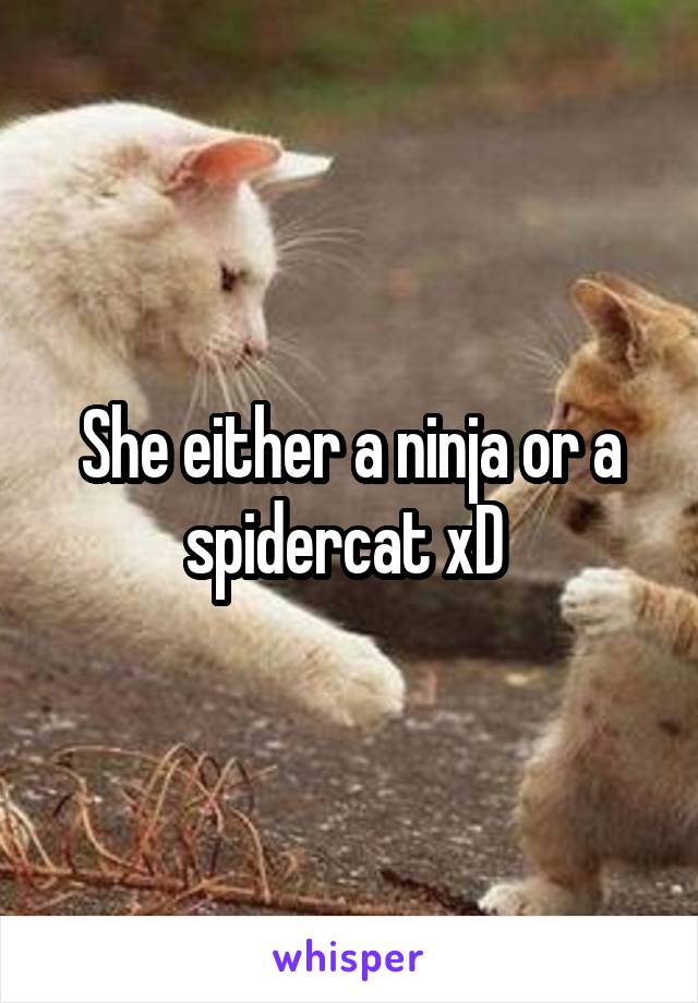 She either a ninja or a spidercat xD 