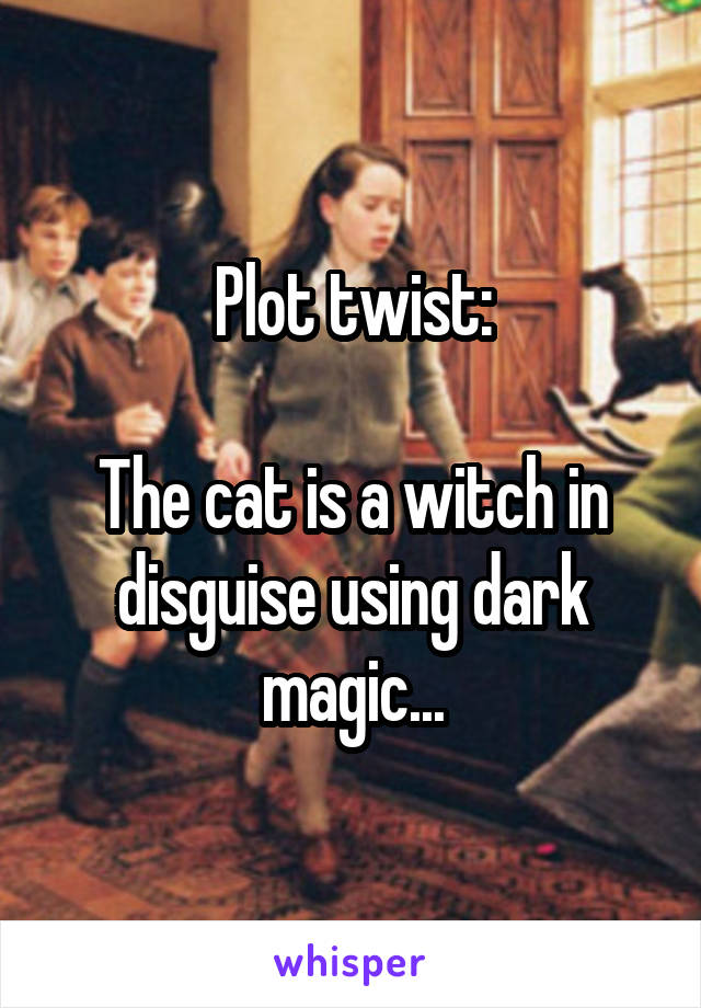 Plot twist:

The cat is a witch in disguise using dark magic...