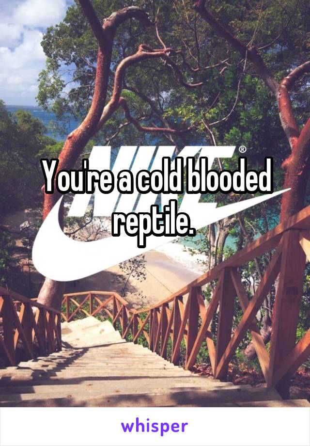 You're a cold blooded reptile. 
