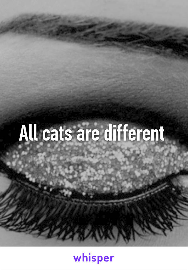 All cats are different 