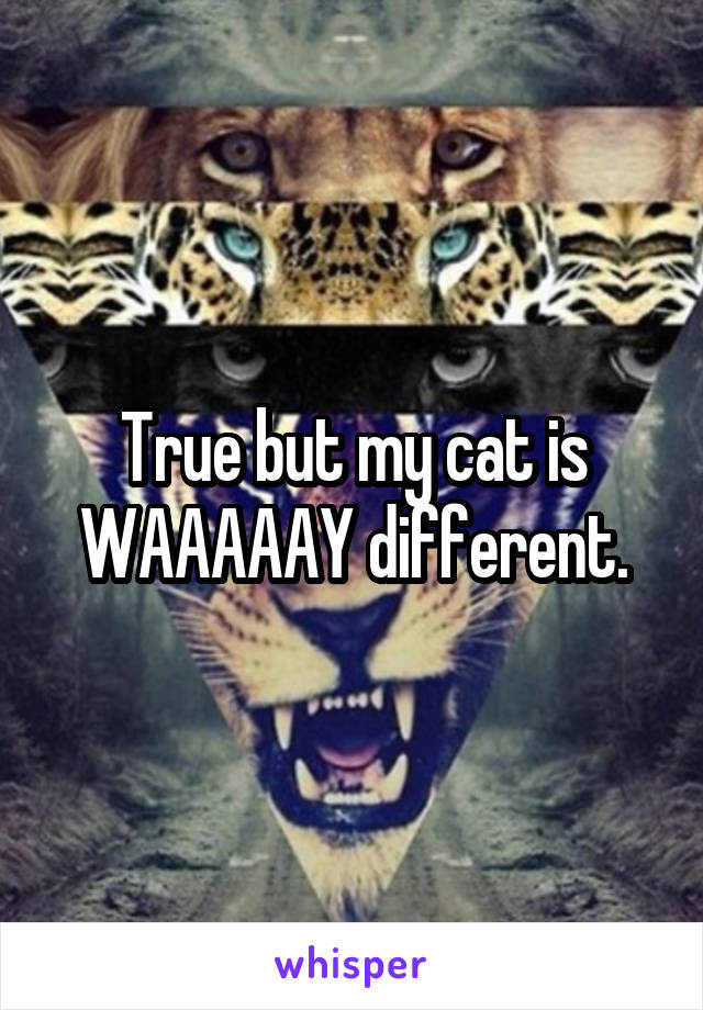 True but my cat is WAAAAAY different.