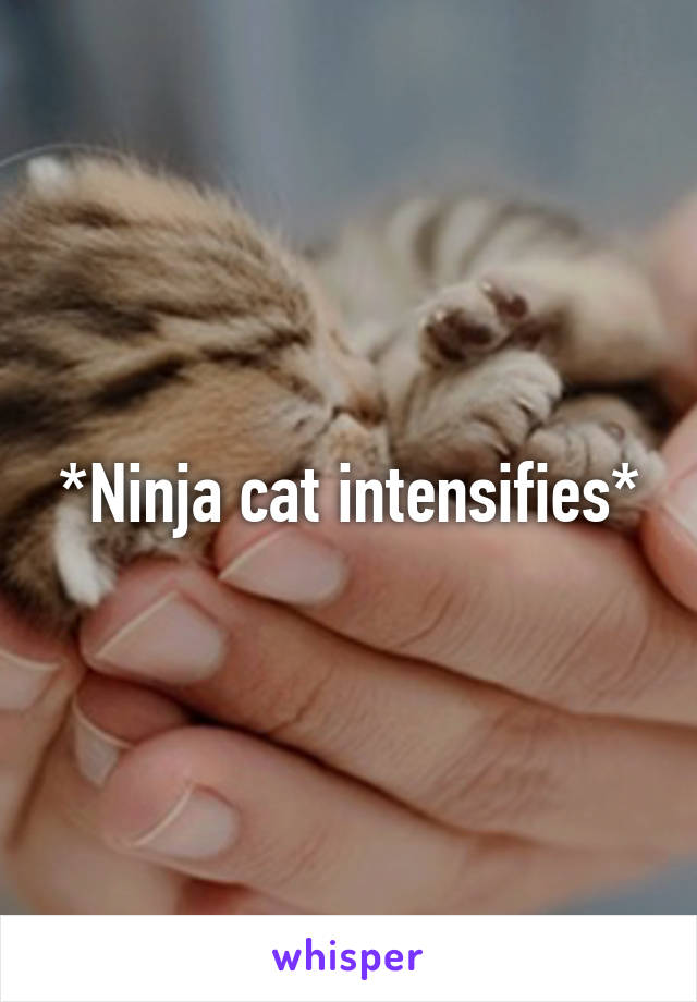 *Ninja cat intensifies*