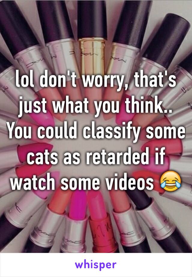 lol don't worry, that's just what you think.. You could classify some cats as retarded if watch some videos 😂