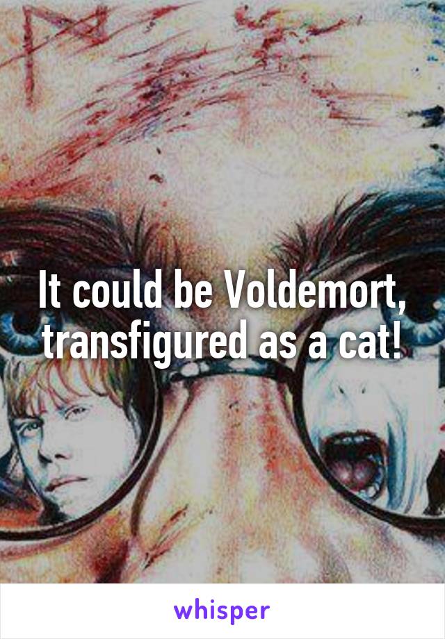 It could be Voldemort, transfigured as a cat!