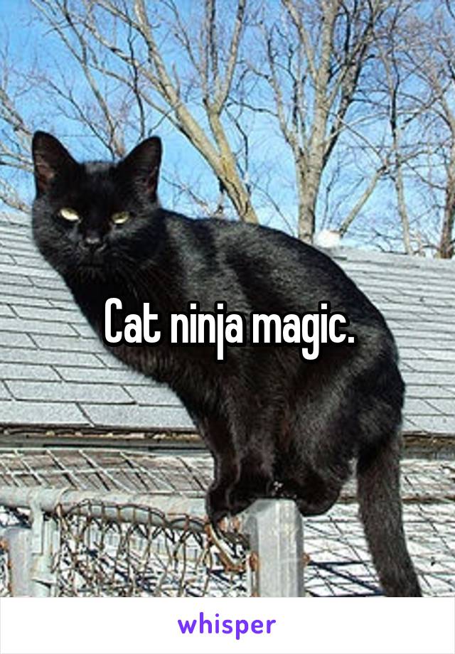 Cat ninja magic.