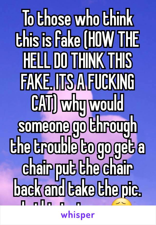 To those who think this is fake (HOW THE HELL DO THINK THIS  FAKE. ITS A FUCKING CAT) why would someone go through the trouble to go get a chair put the chair back and take the pic. Is this just me 😧