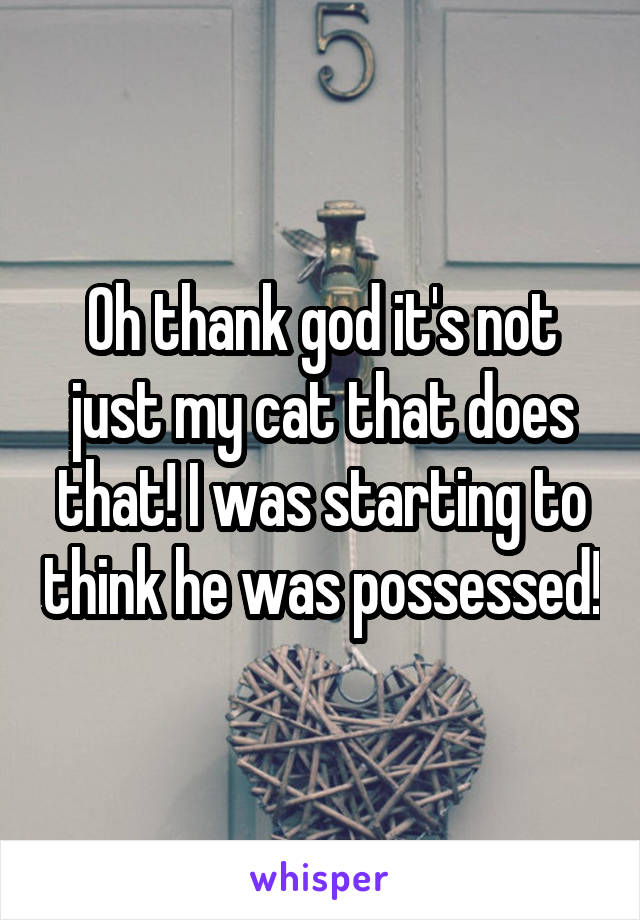 Oh thank god it's not just my cat that does that! I was starting to think he was possessed!