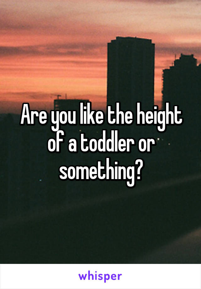 Are you like the height of a toddler or something?