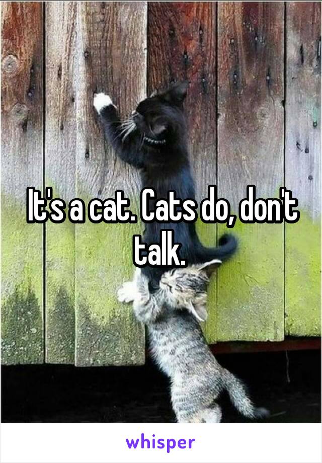 It's a cat. Cats do, don't talk. 