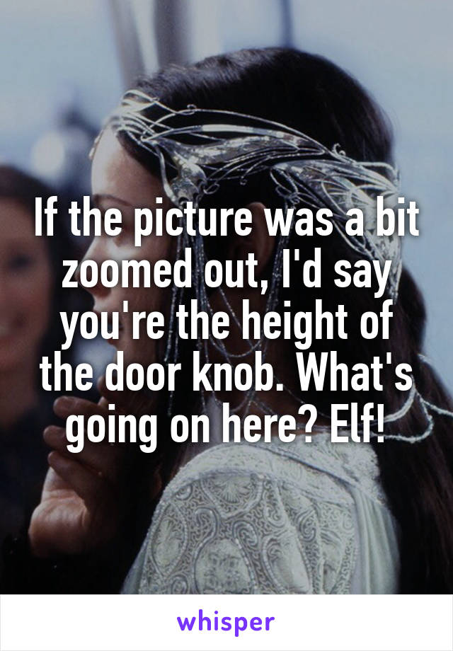 If the picture was a bit zoomed out, I'd say you're the height of the door knob. What's going on here? Elf!