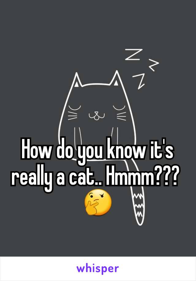 How do you know it's really a cat.. Hmmm??? 
🤔