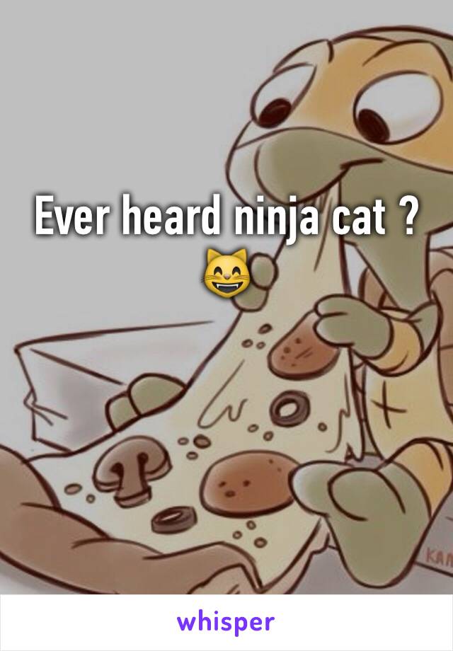 Ever heard ninja cat ? 😸