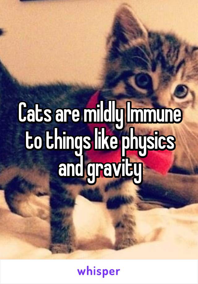 Cats are mildly Immune to things like physics and gravity