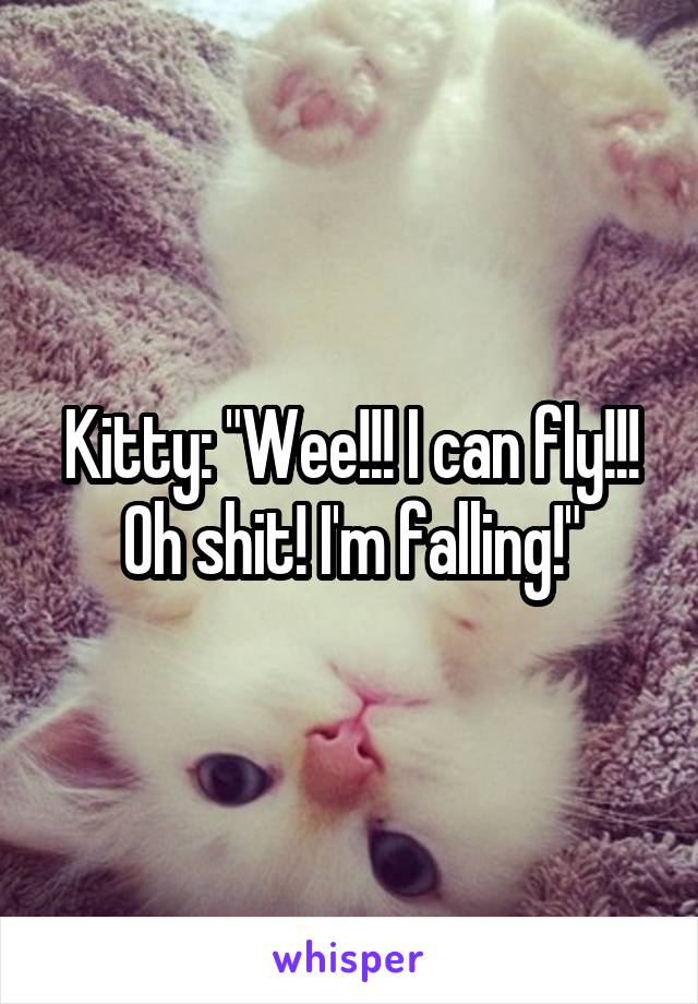 Kitty: "Wee!!! I can fly!!! Oh shit! I'm falling!"