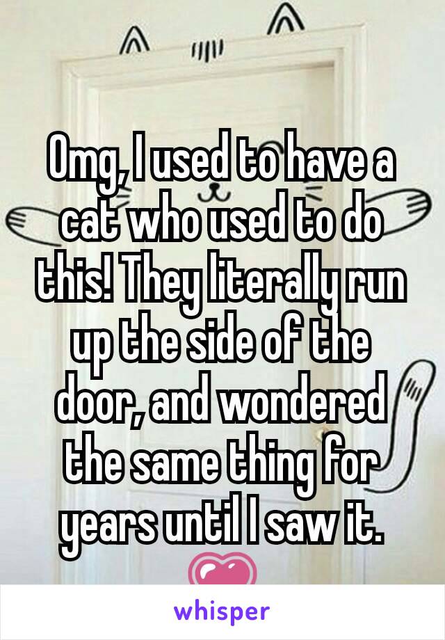 Omg, I used to have a cat who used to do this! They literally run up the side of the door, and wondered the same thing for years until I saw it. 💗