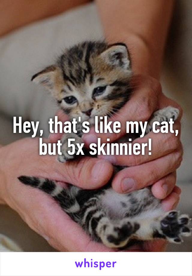 Hey, that's like my cat, but 5x skinnier!