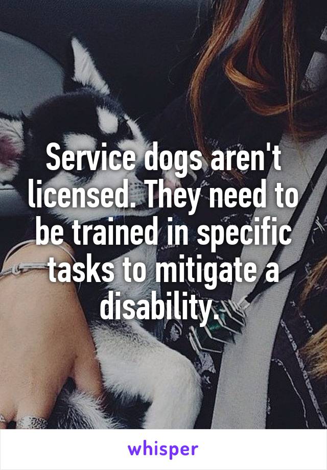 Service dogs aren't licensed. They need to be trained in specific tasks to mitigate a disability. 