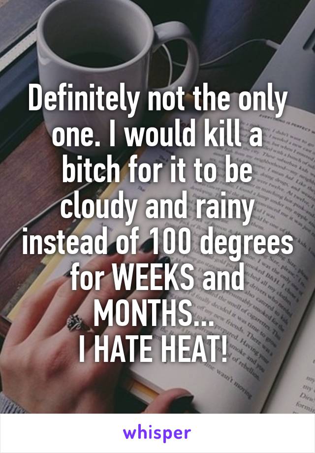 Definitely not the only one. I would kill a bitch for it to be cloudy and rainy instead of 100 degrees for WEEKS and MONTHS... 
I HATE HEAT! 