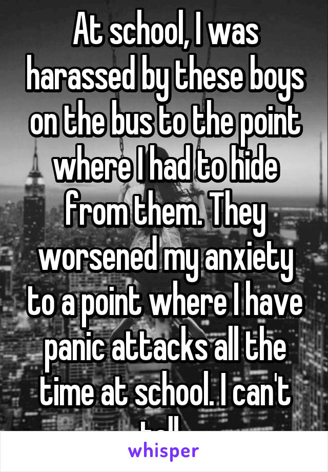 At school, I was harassed by these boys on the bus to the point where I had to hide from them. They worsened my anxiety to a point where I have panic attacks all the time at school. I can't tell. 