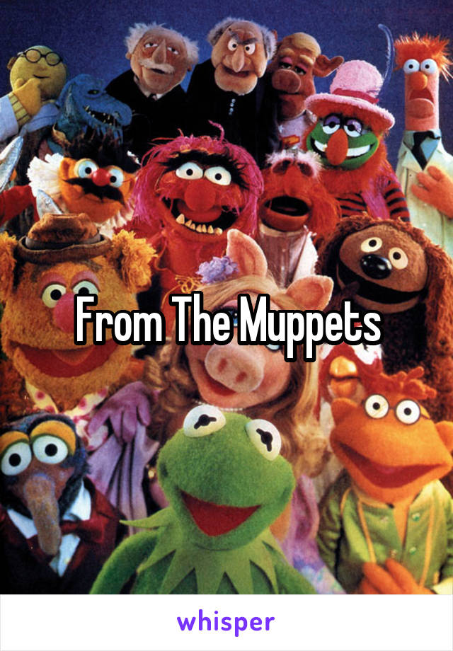 From The Muppets