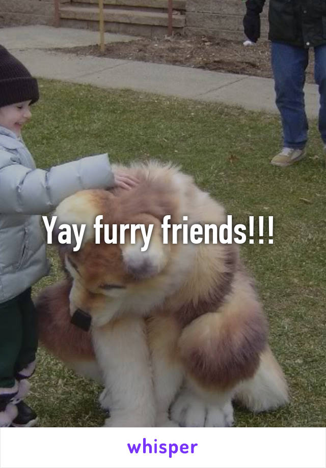 Yay furry friends!!! 