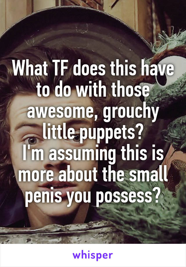 What TF does this have to do with those awesome, grouchy little puppets?
I'm assuming this is more about the small penis you possess?