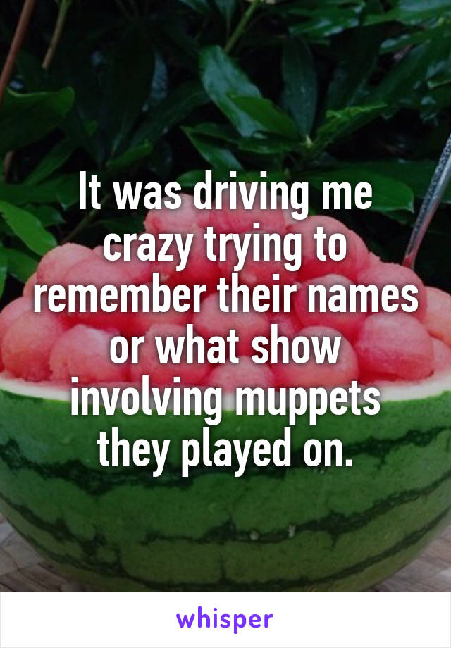 It was driving me crazy trying to remember their names or what show involving muppets they played on.