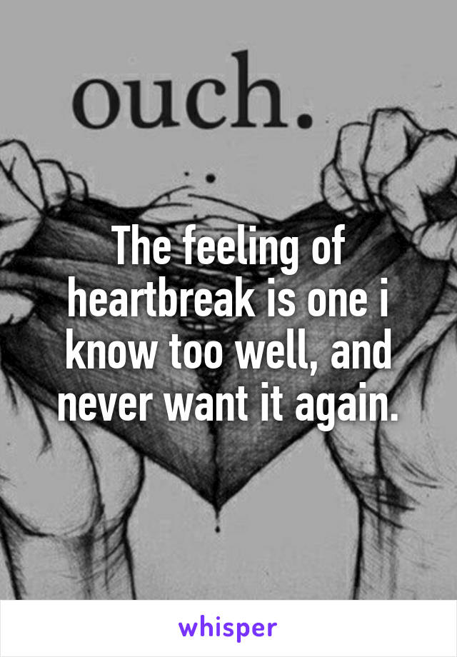 The feeling of heartbreak is one i know too well, and never want it again.