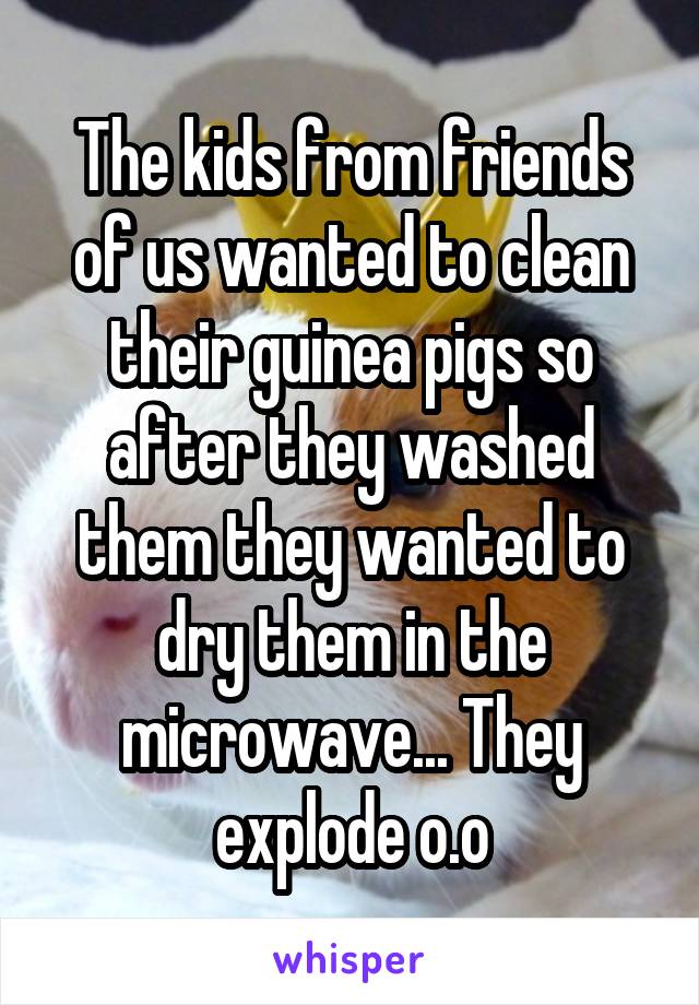 The kids from friends of us wanted to clean their guinea pigs so after they washed them they wanted to dry them in the microwave... They explode o.o