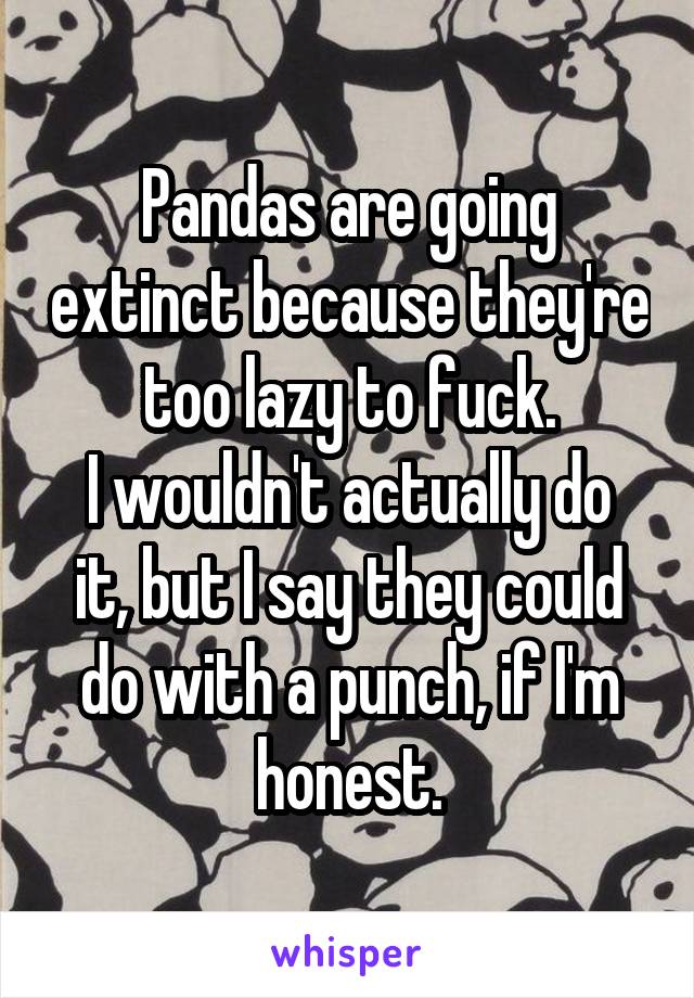 Pandas are going extinct because they're too lazy to fuck.
I wouldn't actually do it, but I say they could do with a punch, if I'm honest.