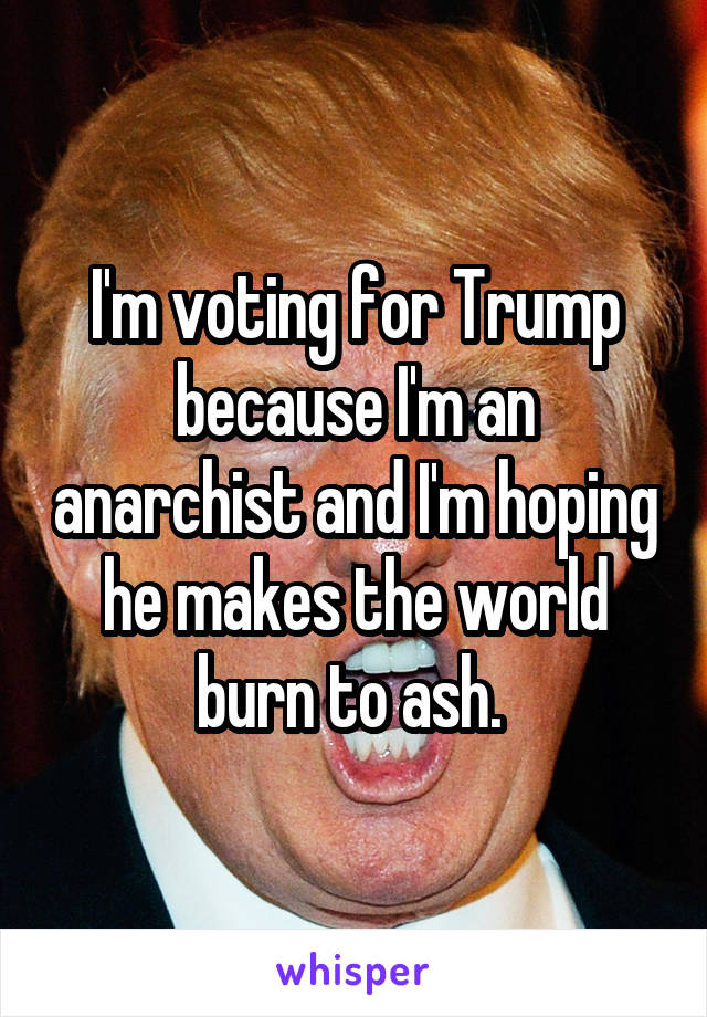 I'm voting for Trump because I'm an anarchist and I'm hoping he makes the world burn to ash. 