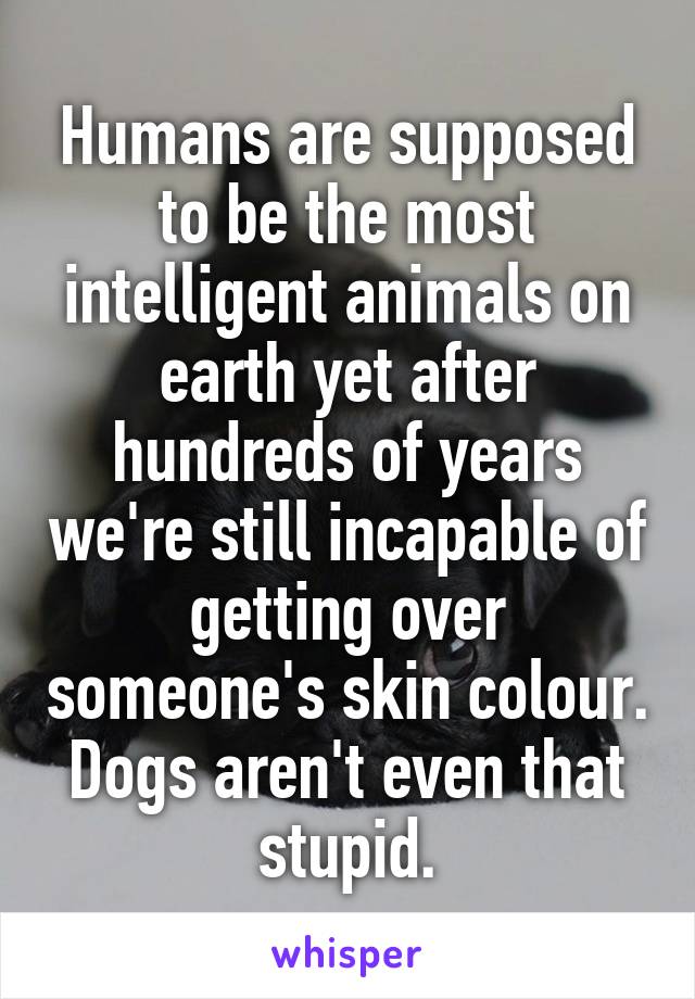 Humans are supposed to be the most intelligent animals on earth yet after hundreds of years we're still incapable of getting over someone's skin colour. Dogs aren't even that stupid.