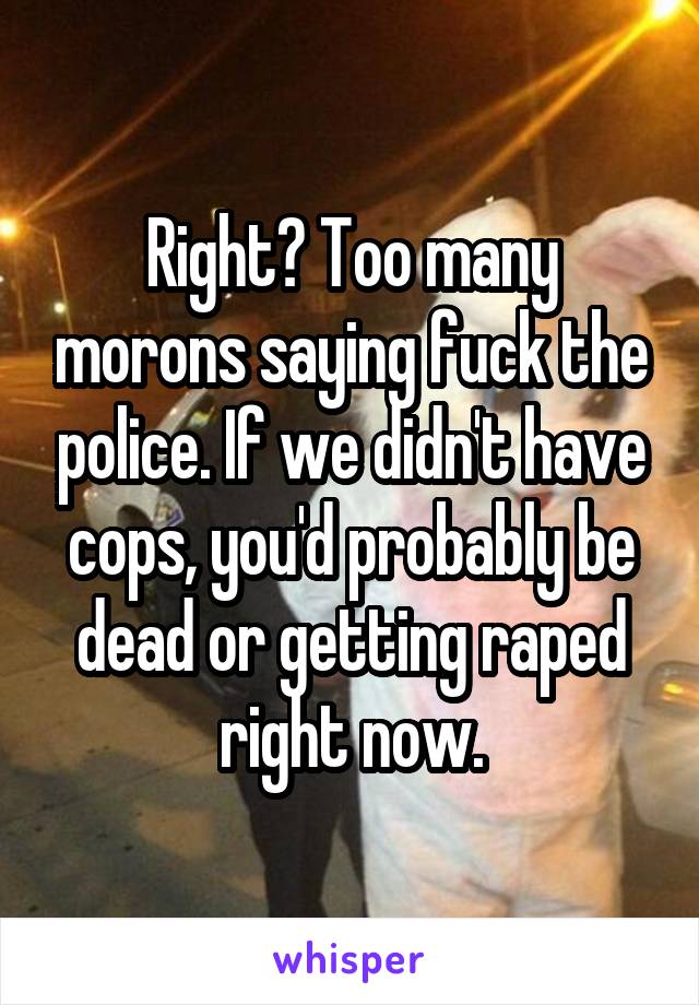 Right? Too many morons saying fuck the police. If we didn't have cops, you'd probably be dead or getting raped right now.