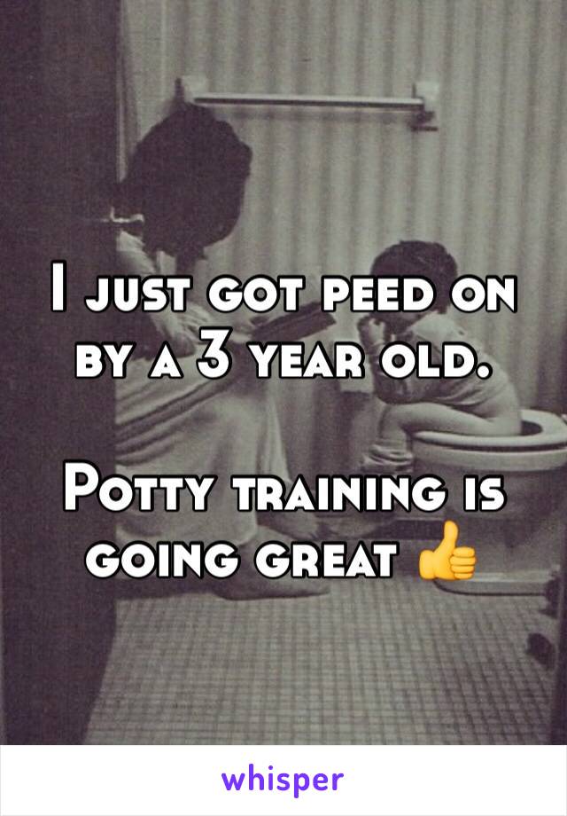 I just got peed on by a 3 year old. 

Potty training is going great 👍