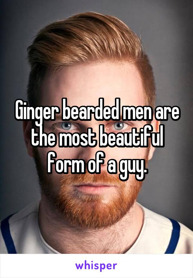 Ginger bearded men are the most beautiful form of a guy.