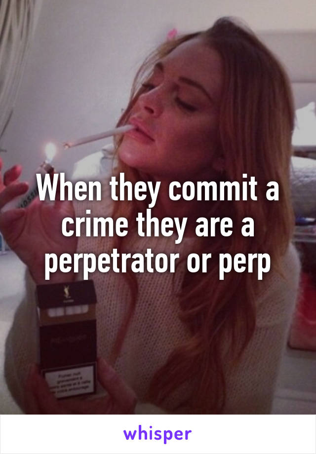 When they commit a crime they are a perpetrator or perp