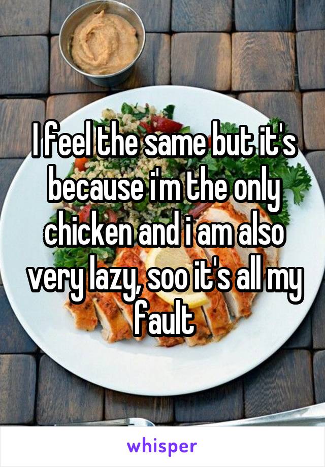 I feel the same but it's because i'm the only chicken and i am also very lazy, soo it's all my fault