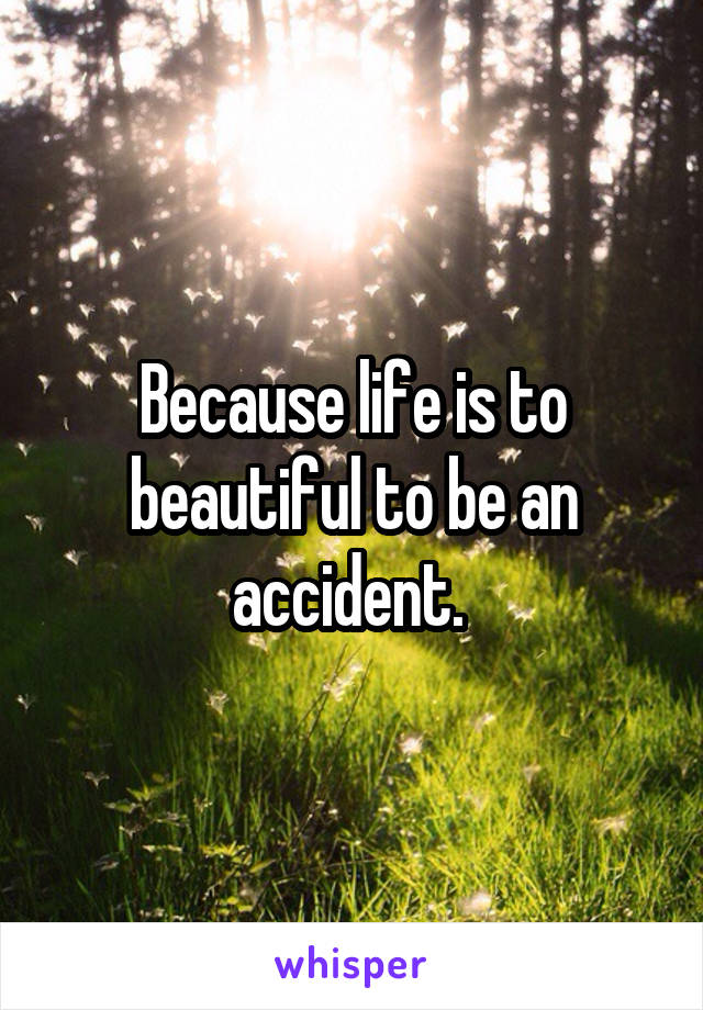 Because life is to beautiful to be an accident. 