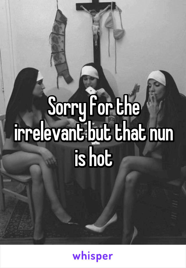 Sorry for the irrelevant but that nun is hot