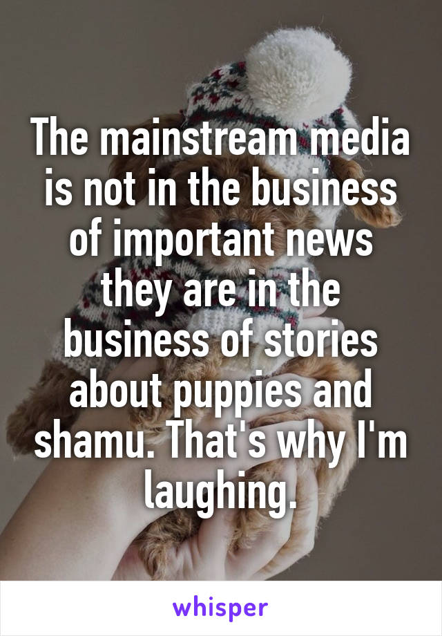 The mainstream media is not in the business of important news they are in the business of stories about puppies and shamu. That's why I'm laughing.