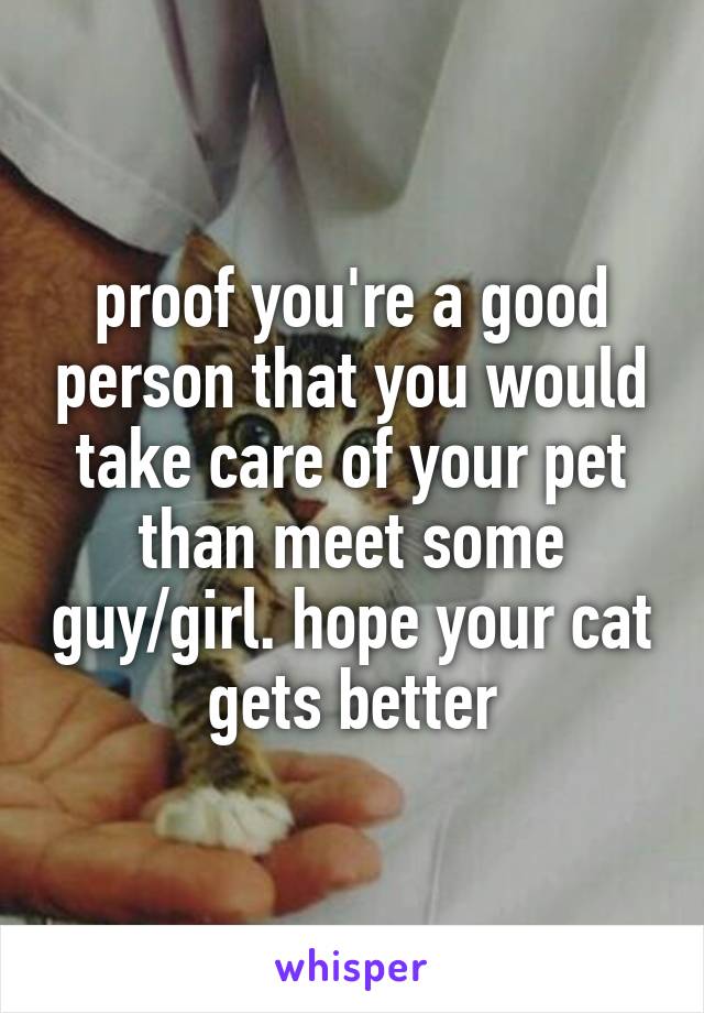 proof you're a good person that you would take care of your pet than meet some guy/girl. hope your cat gets better