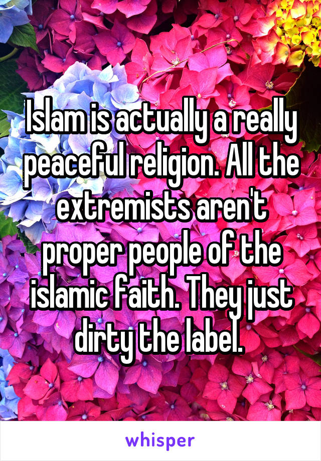 Islam is actually a really peaceful religion. All the extremists aren't proper people of the islamic faith. They just dirty the label. 