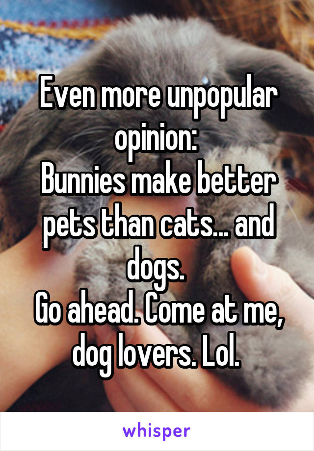 Even more unpopular opinion: 
Bunnies make better pets than cats... and dogs. 
Go ahead. Come at me, dog lovers. Lol. 