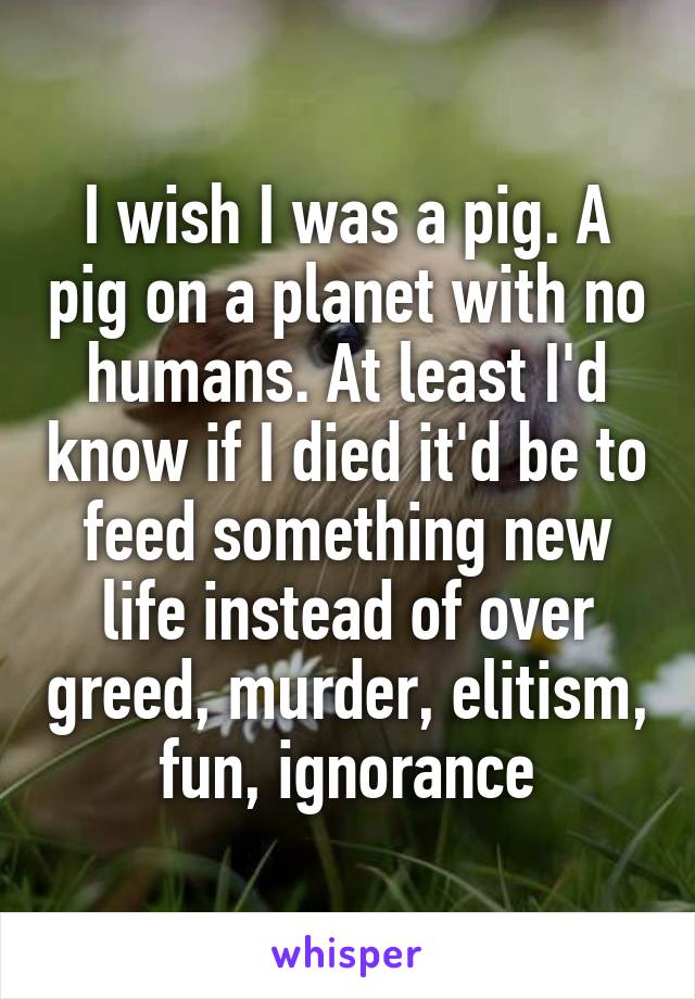 I wish I was a pig. A pig on a planet with no humans. At least I'd know if I died it'd be to feed something new life instead of over greed, murder, elitism, fun, ignorance