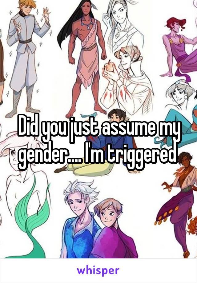 Did you just assume my gender.... I'm triggered 