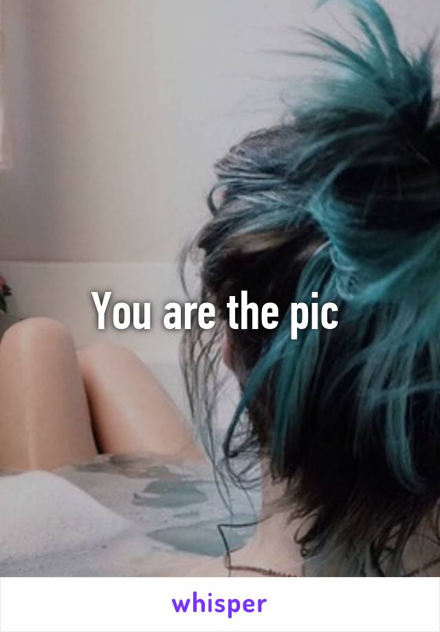 You are the pic 