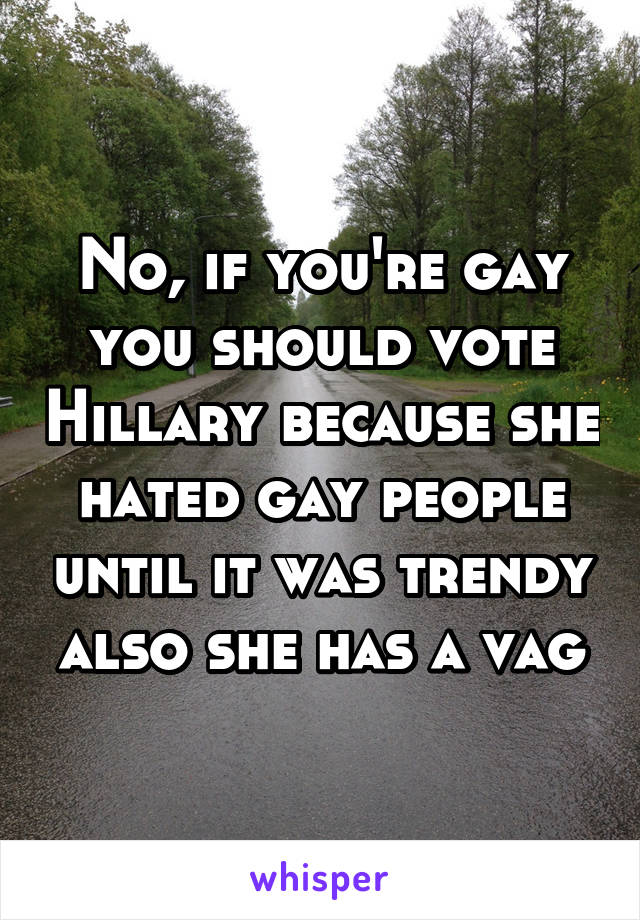 No, if you're gay you should vote Hillary because she hated gay people until it was trendy also she has a vag